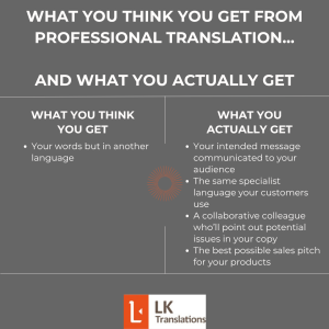 What you think you get from professional translation